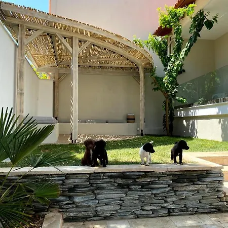 דירה Casa Del Mar Thassos