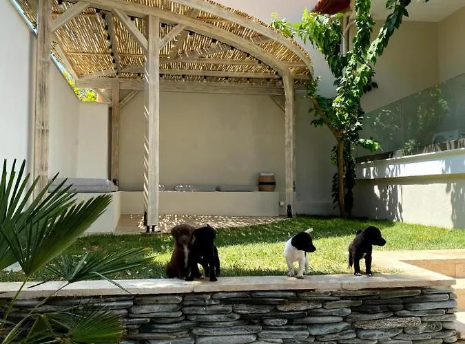 公寓 Casa Del Mar Thassos